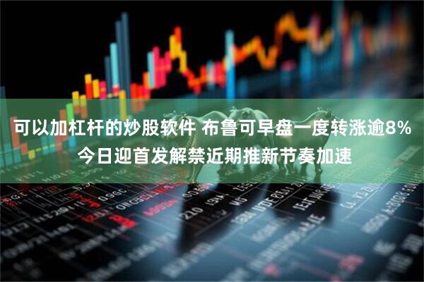 可以加杠杆的炒股软件 布鲁可早盘一度转涨逾8% 今日迎首发解禁近期推新节奏加速
